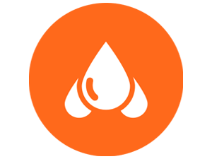 Increased Blood Flow