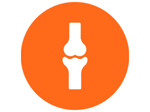 Knee Joint Support