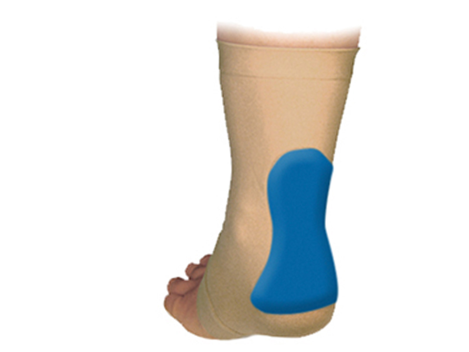 Achilles Heel Pad