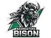 Basingstoke Bison Ice Hockey