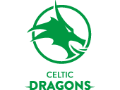 Celtic Dragons Testimonial