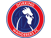 Dorking Wanderers FC Testimonial