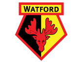 Watford FC Testimonial