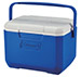 4.7 Litre Mini Ice Chest