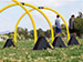 SKLZ Pro Training Utility Weight