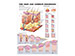 Skin And Common Disorders - Wallchart